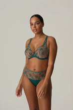 Load image into Gallery viewer, Springdale Plunge Bra (C-G)
