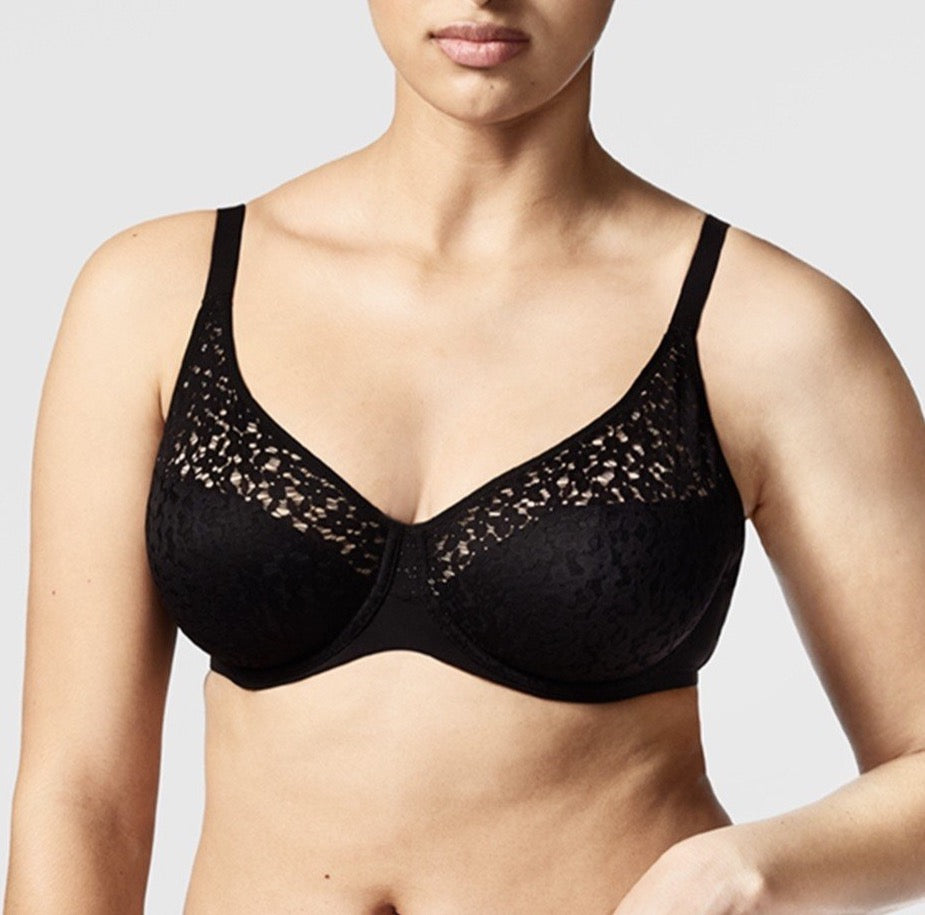42d Black Everyday Bra - Get Best Price from Manufacturers