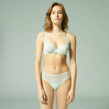 Load image into Gallery viewer, Delice Full Cup Plunge Bra - 36B, 32D, 34D, 40D, 36E, 40E, 38F
