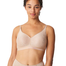 Load image into Gallery viewer, C Magnifique Wirefree Bra - 36E
