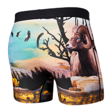 Load image into Gallery viewer, Volt Boxer Brief (M, L)
